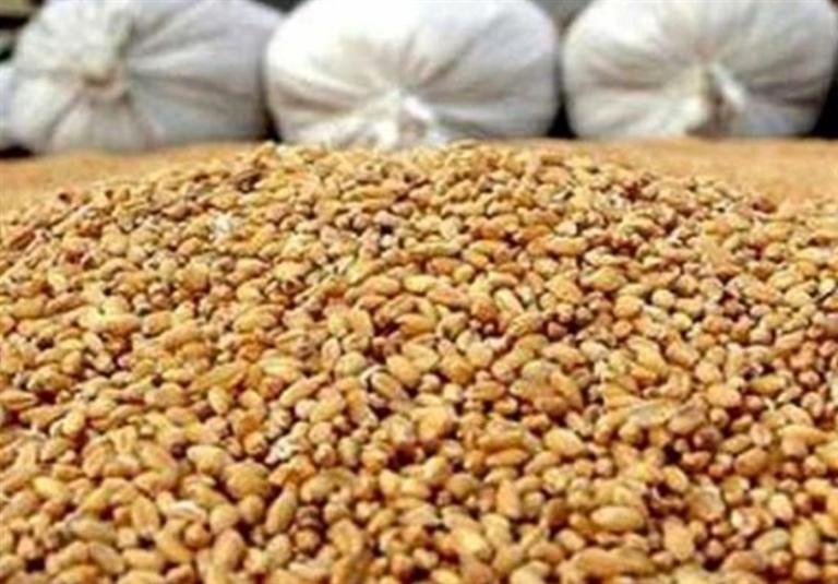 تعطیلی 75 درصد کارخانجات خوراک دام به خاطر کمبود نهاده‌ها!