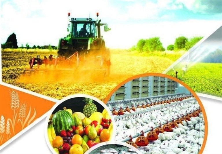 نمایندگان مجلس به بازنگری طرح امنیت غذایی پرداختند