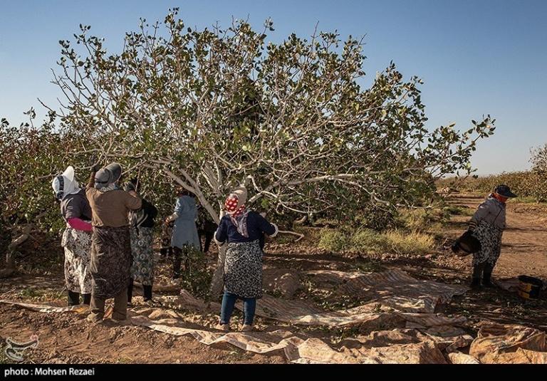 بنیاد علوی ۷ روش خلاقانه برای جذب کمک‌های مالی خیرین ارائه داد.