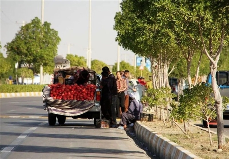 اعمال قانون بر 657 هزار وانت‌بار فروش میوه در کشور