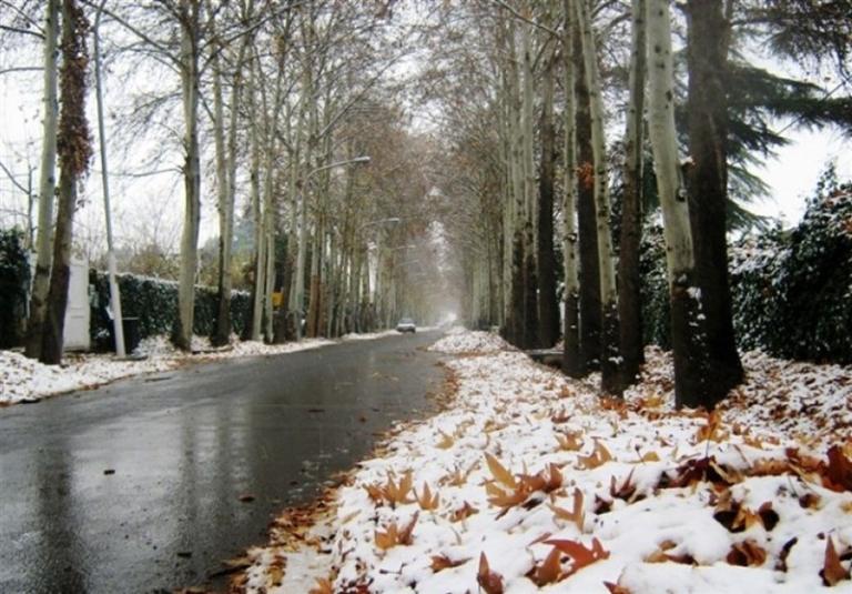 بارش برف و باران در جاده‌های 20 استان کشور را فرا گرفت!