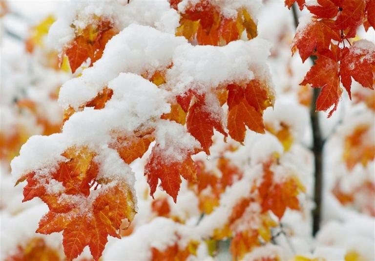هواشناسی ایران: برف و باران در 23 استان و هشدار نارنجی برای 17 استان