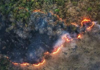 آتش‌سوزی‌های جنگل‌های دیزمار ناشی از عوامل انسانی و وقوع 50 مورد آتش‌سوزی در آذربایجان شرقی!
