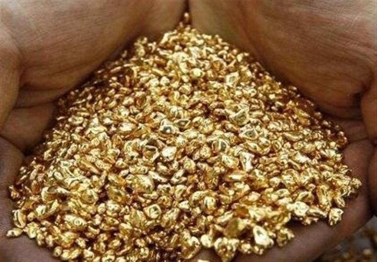 سرقت نیم کیلو طلا توسط پسر خانواده و خرید باغ و زمین با پول دزدی!