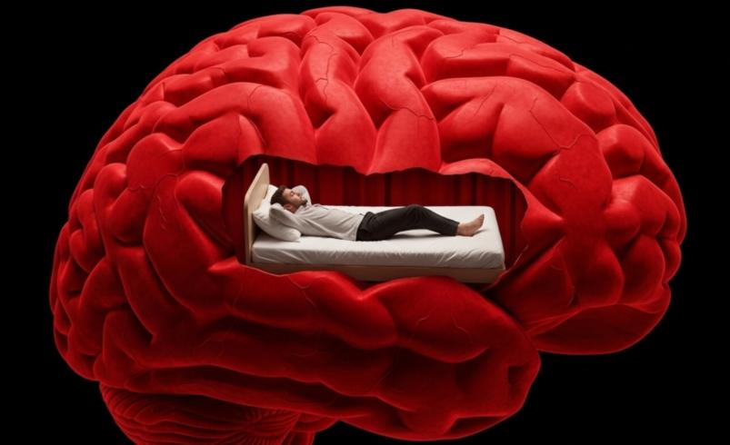 آیا تنبلی ریشه در مغز دارد؟